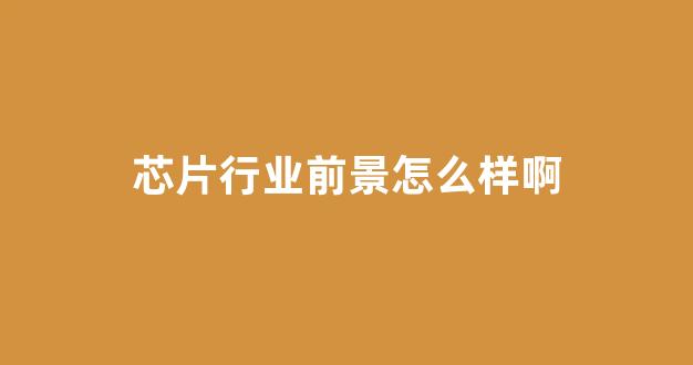 芯片行业前景怎么样啊(芯片这个行业怎样)_https://www.jnskb.com_效果图_第1张