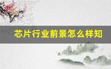 芯片行业前景怎么样知乎(芯片行业销售好做吗)_https://www.wguangz.com_广期所_第1张