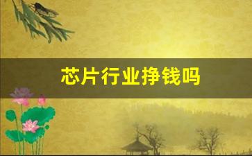 芯片行业挣钱吗(芯片行业挣钱吗)_https://www.wguangz.com_大商所_第1张