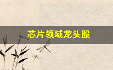 芯片领域龙头股(芯片各领域龙头)_https://www.wanyuyiyao.com_上交所_第1张