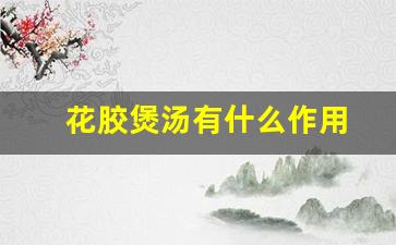 花胶煲汤有什么作用-花胶 煲汤