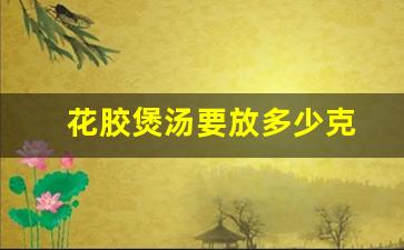 花胶煲汤要放多少克-花胶煲汤放多少量