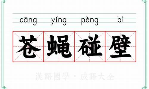 苍蝇碰壁什么意思-苍蝇碰壁打一数字