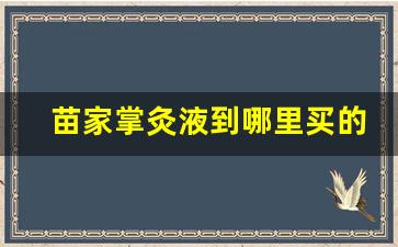 苗家掌灸液的使用注意事项-苗家掌灸液到哪里买的比较好一点