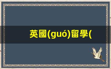 英國(guó)留學(xué)簽證(英國(guó)簽證申請(qǐng))