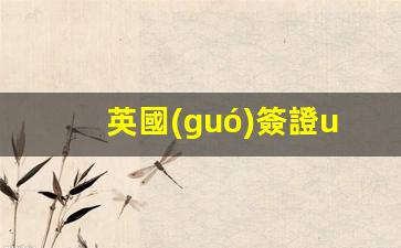 英國(guó)簽證ukvs(英國(guó)簽證UKVI28是什么意思)
