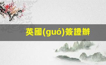 英國(guó)簽證辦理(英國(guó)簽證官網(wǎng) 中文)