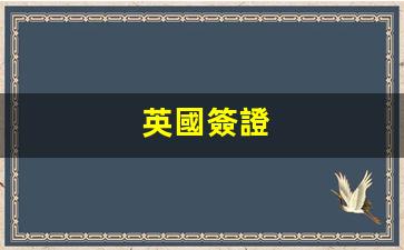 英國簽證(英國簽證辦理需要什么材料)