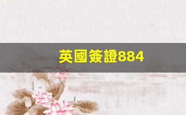 英國簽證884(英國簽證辦理)