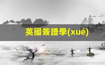 英國簽證學(xué)生簽證價(jià)格(英國學(xué)生簽證所需材料清單)