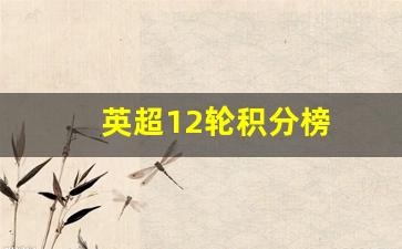 英超12轮积分榜-英超20-21积分榜