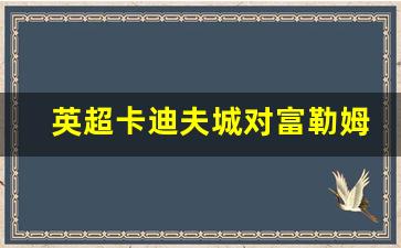 英超卡迪夫城对富勒姆-英冠卡迪夫城对巴恩斯利