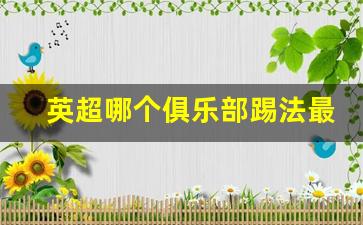 英超哪个俱乐部球迷最多-英超哪个俱乐部踢法最猛
