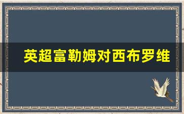 富勒姆对西布罗姆维奇-英超富勒姆对西布罗维奇