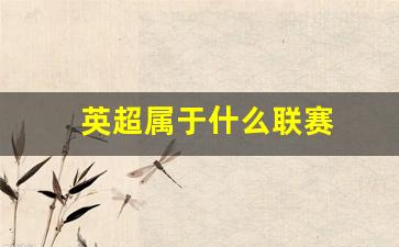 英超属于什么联赛级别-英超属于什么联赛