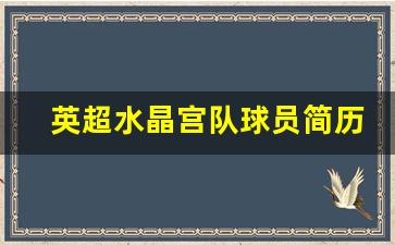 英超水晶宫队球员简历-曾担任英超水晶宫队长