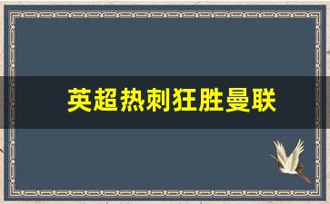 英超热刺狂胜曼联-英超热刺对阵曼城