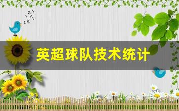 英超球队实力定位-英超球队技术统计