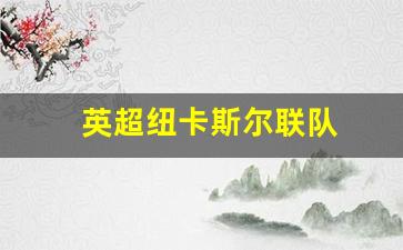 英超纽卡斯尔联队-英超纽卡斯尔联队主教练