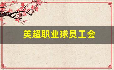 英超各队工资-英超职业球员工会