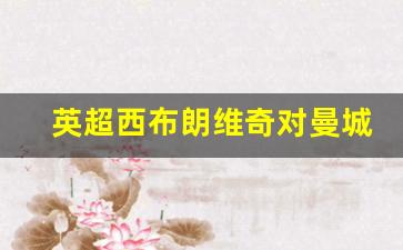 曼联 西布朗维奇 直播-英超西布朗维奇对