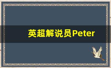 英超解说员Peter-英超解说员刘畅