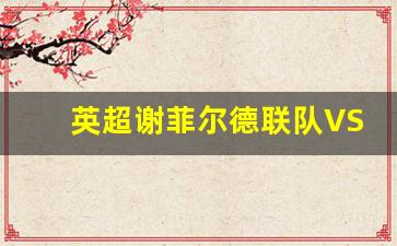 谢菲尔德联vs德比郡-英超谢菲尔德联队V