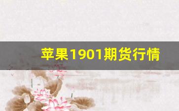 苹果1901期货行情(2110苹果期货行情分析最新)_https://www.qldgs.com_国际期货_第1张