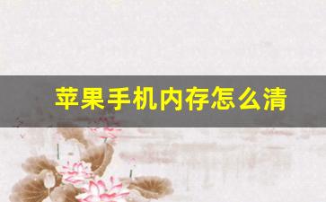 苹果手机内存怎么清(苹果手机内存怎么清理垃圾)_https://www.huakunhengjia.com_股票资讯_第1张