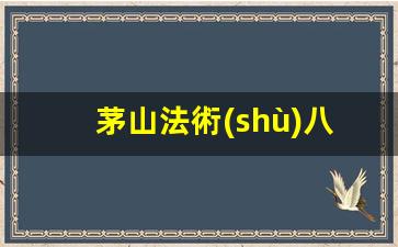 茅山法術(shù)八字算命網(wǎng)