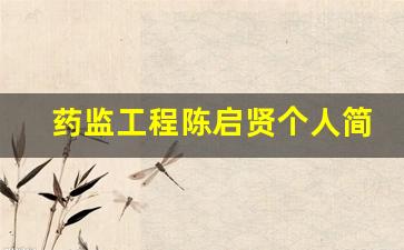 药监工程陈启贤个人简历(国家药监局 陈时飞)_https://www.luoxuangg888.com_北交所_第1张