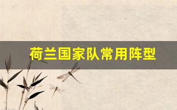 荷兰队国家队阵容-荷兰国家队常用阵型