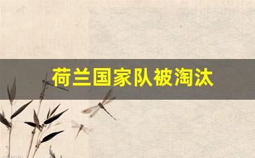 荷兰国家队被淘汰的球队-荷兰国家队被淘汰