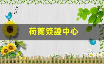 荷蘭簽證中心(上海荷蘭簽證中心)