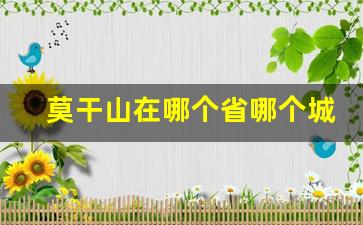 莫干山风景区-莫干山在哪个省哪个城市