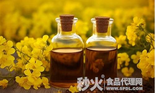 菜籽油价格什么时候降价_今年的菜籽油