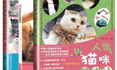 萌猫猫养成攻略大全图片-萌猫猫养成攻略大全