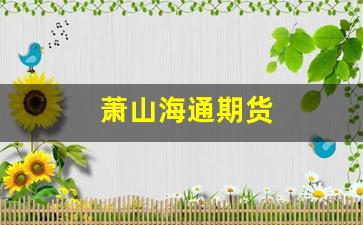 萧山海通期货(萧山海通期货招聘)_https://www.fzdzcxj.com_深交所_第1张