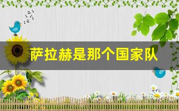 萨拉赫是那个国家队-萨拉赫是几号球衣