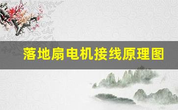 落地扇电机接线原理图片(落地扇电机组装图)_https://www.taocizhiliang.com_装修流程_第1张