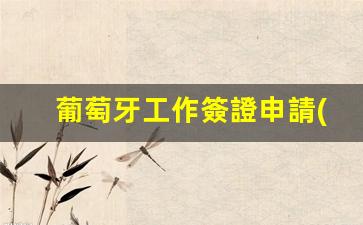 葡萄牙工作簽證申請(qǐng)條件有哪些(葡萄牙工作簽證申請(qǐng)條件有哪些呢)