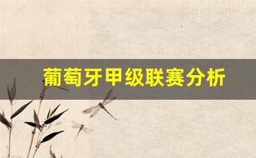 葡萄牙甲级足球俱乐部-葡萄牙甲级联赛分析