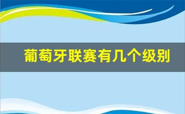 葡萄牙联赛强队-葡萄牙联赛有几个级别