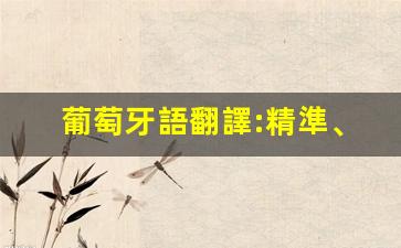 葡萄牙語翻譯:精準、可靠、高效