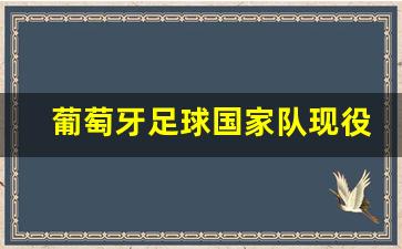 葡萄牙国家队阵容2020号码-葡萄牙足球国家队现役阵容