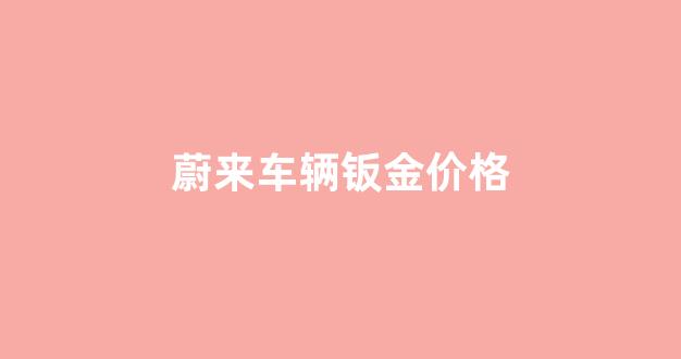 蔚来钣金修理价格_蔚来车辆钣金价格