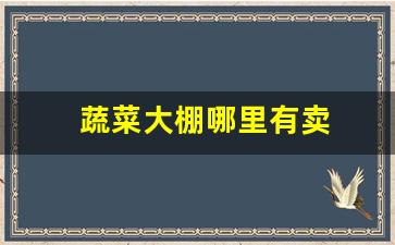 蔬菜大棚哪里有卖(蔬菜大棚在哪里)_https://www.wanyuyiyao.com_上交所_第1张