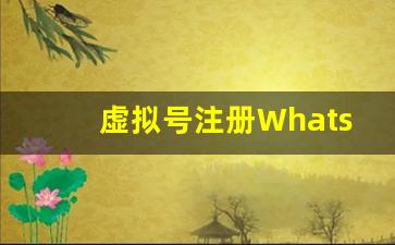 虚拟号注册WhatsApp