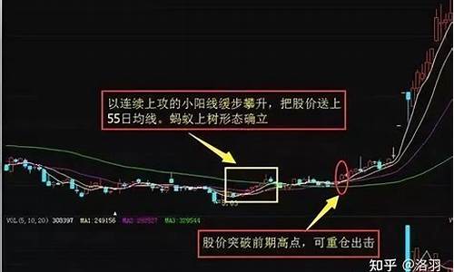 蚂蚁股票基金价格走势_蚂蚁基金最新净值