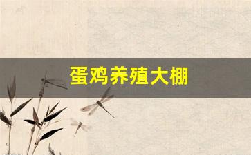 蛋鸡养殖大棚(蛋鸡养殖大棚设计图片大全)_https://www.lclxwz.com_郑商所_第1张